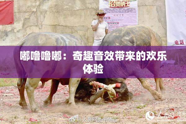 嘟噜噜嘟：奇趣音效带来的欢乐体验