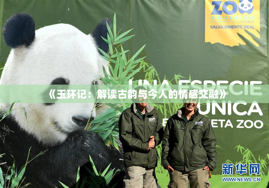 《玉环记：解读古韵与今人的情感交融》