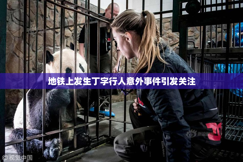 地铁上发生丁字行人意外事件引发关注