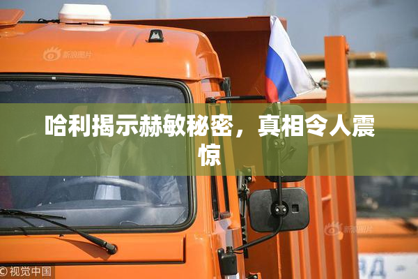 哈利揭示赫敏秘密，真相令人震惊