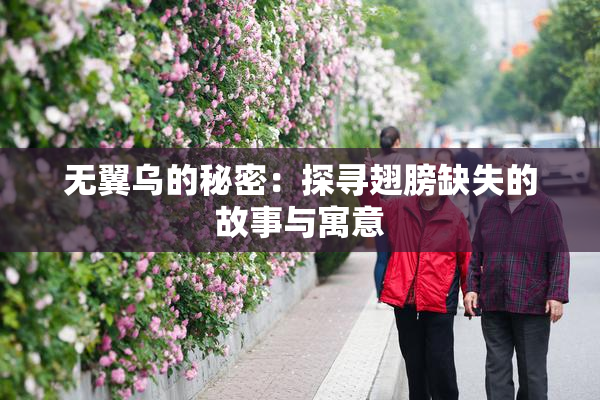 无翼乌的秘密：探寻翅膀缺失的故事与寓意