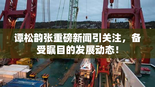 谭松韵张重磅新闻引关注，备受瞩目的发展动态！