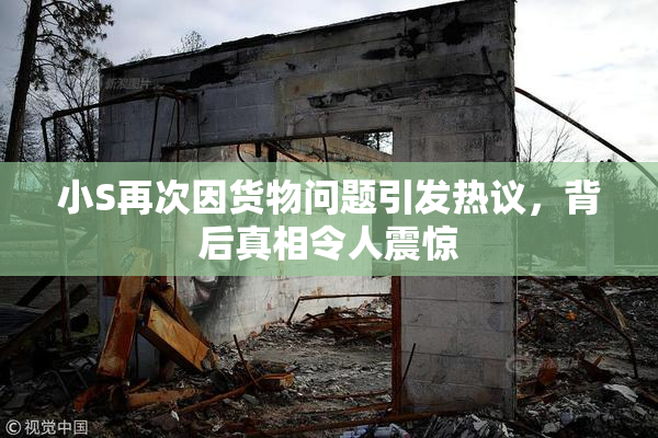小S再次因货物问题引发热议，背后真相令人震惊