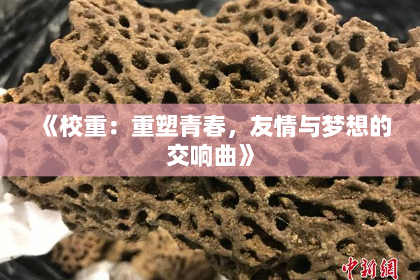 《校重：重塑青春，友情与梦想的交响曲》