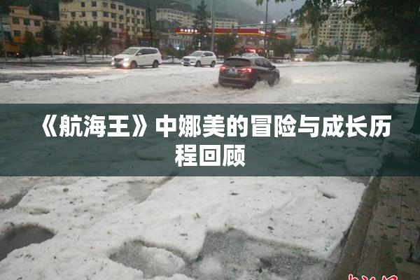 《航海王》中娜美的冒险与成长历程回顾
