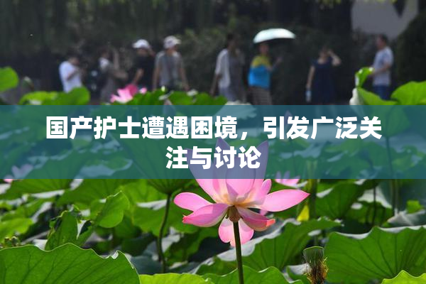 国产护士遭遇困境，引发广泛关注与讨论