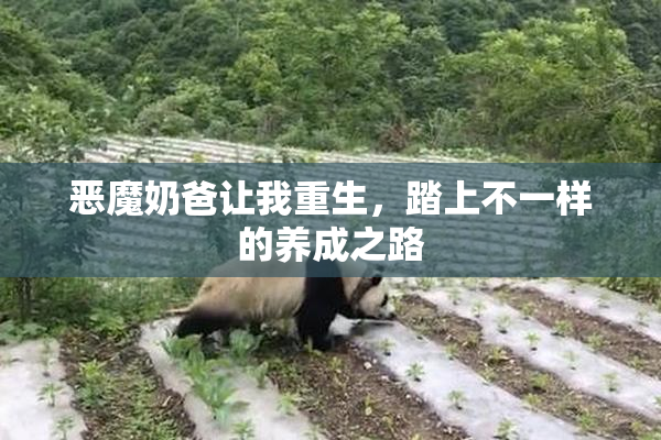 恶魔奶爸让我重生，踏上不一样的养成之路