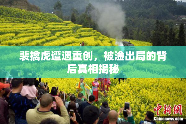 裴擒虎遭遇重创，被淦出局的背后真相揭秘