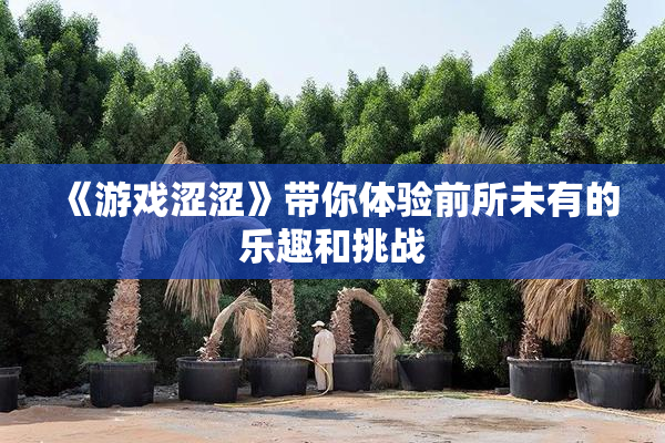 《游戏涩涩》带你体验前所未有的乐趣和挑战