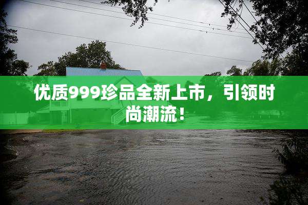优质999珍品全新上市，引领时尚潮流！