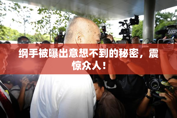 纲手被曝出意想不到的秘密，震惊众人！