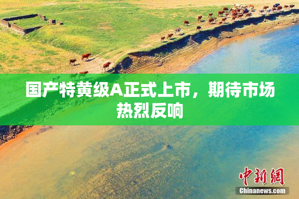 国产特黄级A正式上市，期待市场热烈反响