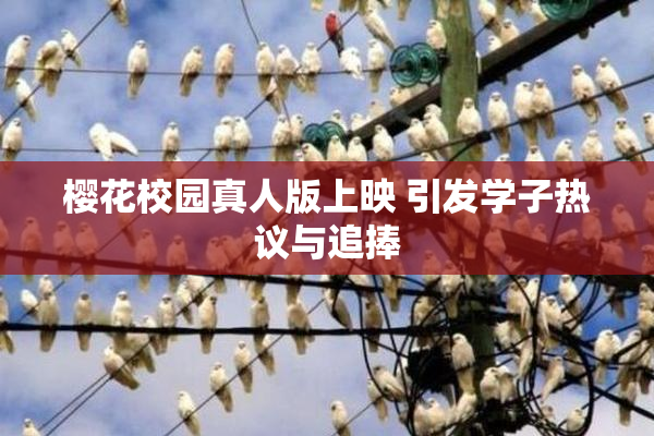 樱花校园真人版上映 引发学子热议与追捧