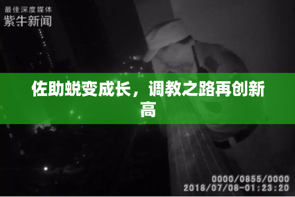 佐助蜕变成长，调教之路再创新高