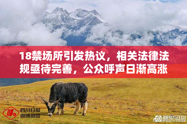 18禁场所引发热议，相关法律法规亟待完善，公众呼声日渐高涨。