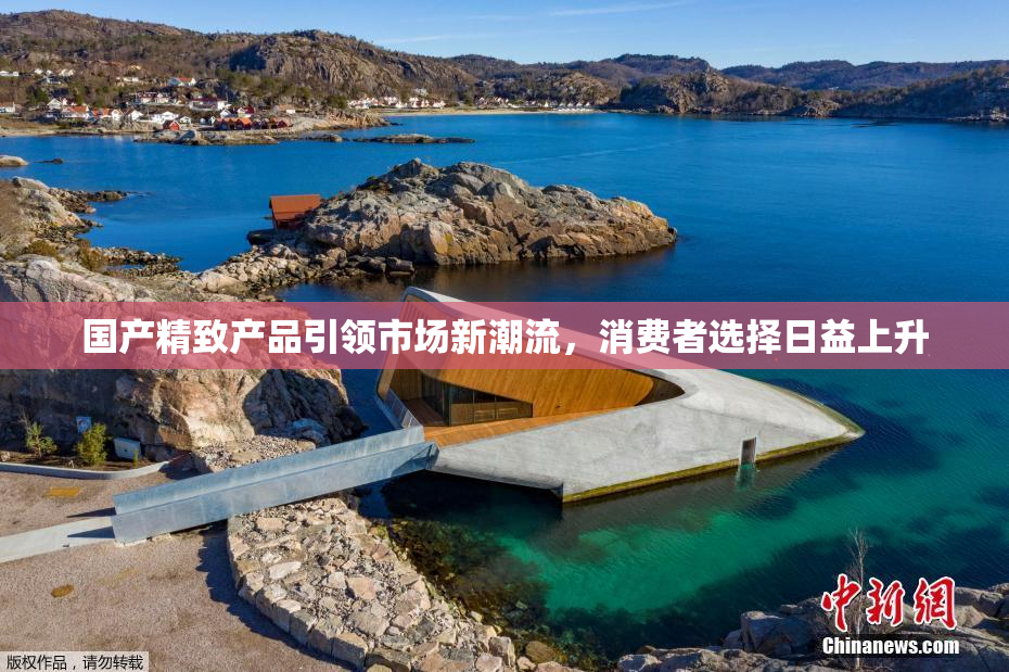 国产精致产品引领市场新潮流，消费者选择日益上升
