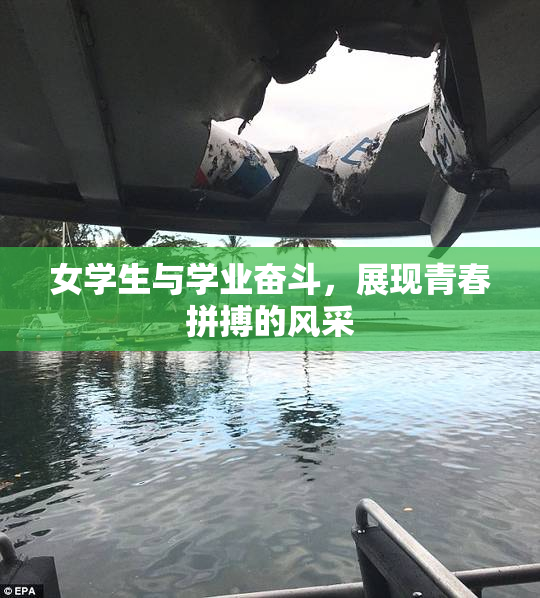 女学生与学业奋斗，展现青春拼搏的风采