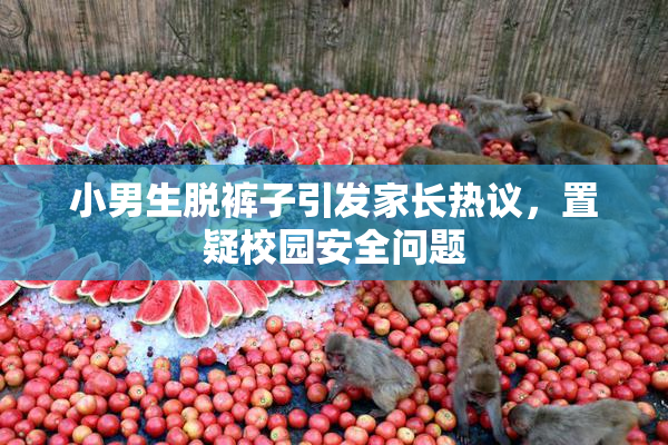 小男生脱裤子引发家长热议，置疑校园安全问题