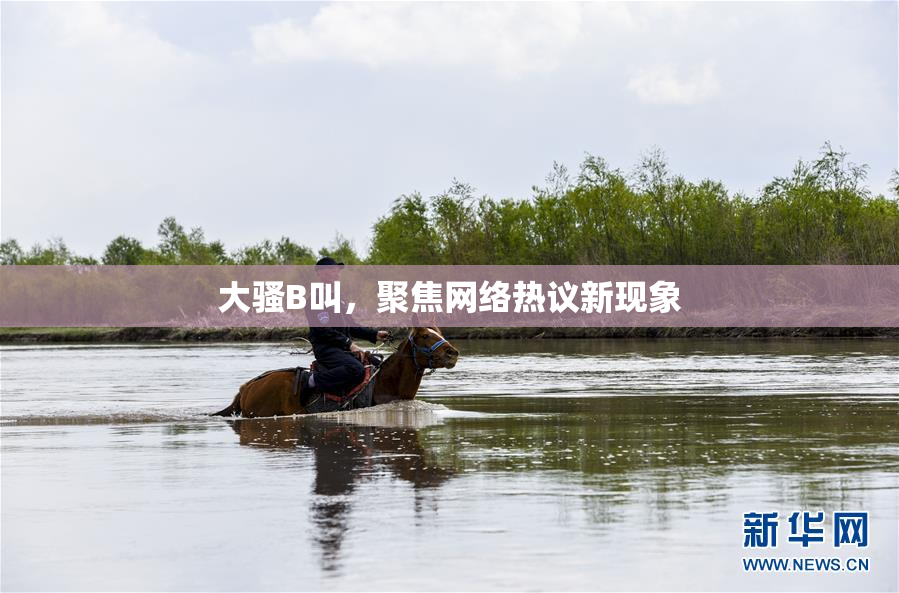 大骚B叫，聚焦网络热议新现象