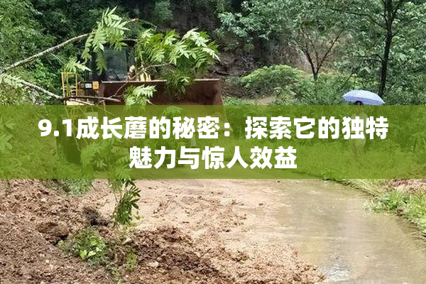 9.1成长蘑的秘密：探索它的独特魅力与惊人效益