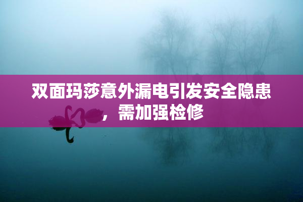 双面玛莎意外漏电引发安全隐患，需加强检修