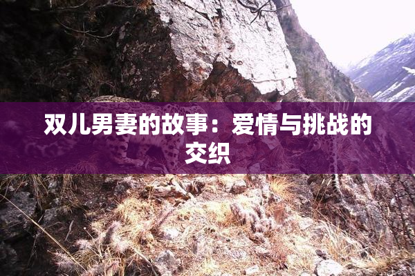 双儿男妻的故事：爱情与挑战的交织