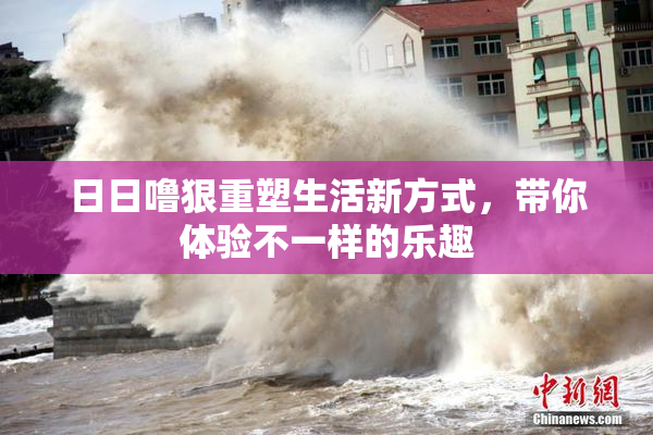 日日噜狠重塑生活新方式，带你体验不一样的乐趣