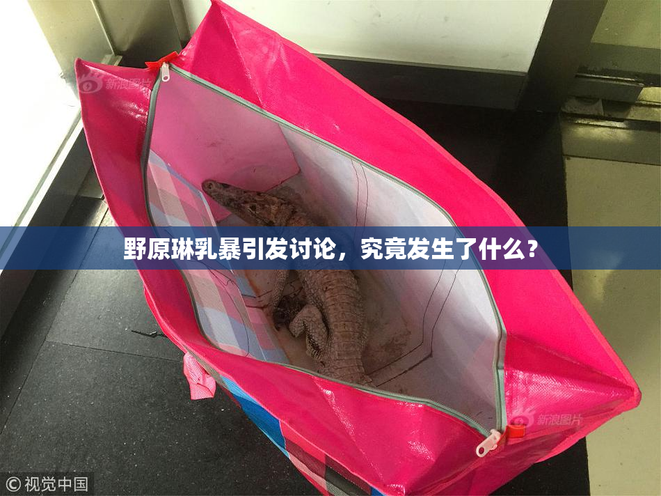 野原琳乳暴引发讨论，究竟发生了什么？