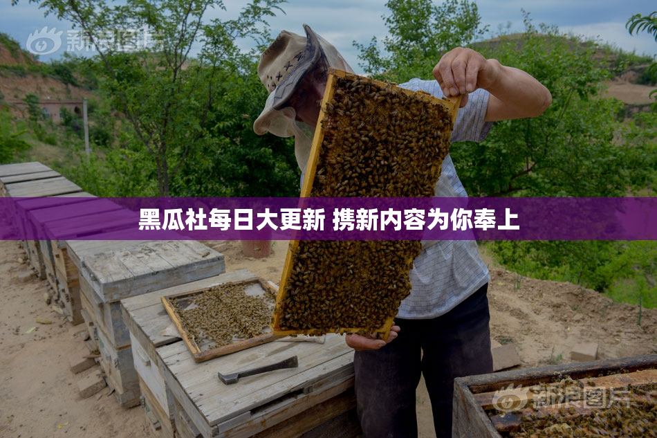 黑瓜社每日大更新 携新内容为你奉上