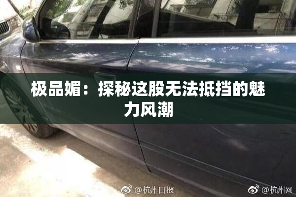 极品媚：探秘这股无法抵挡的魅力风潮