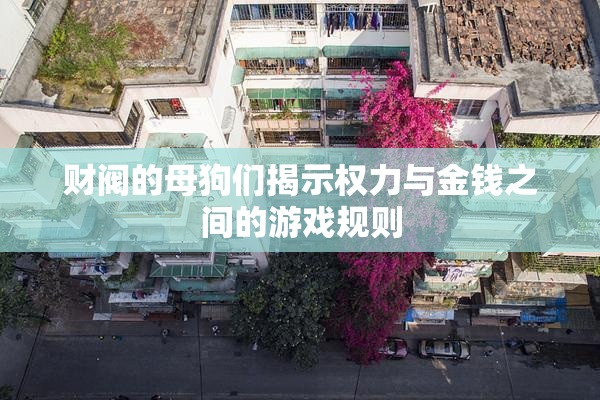 财阀的母狗们揭示权力与金钱之间的游戏规则