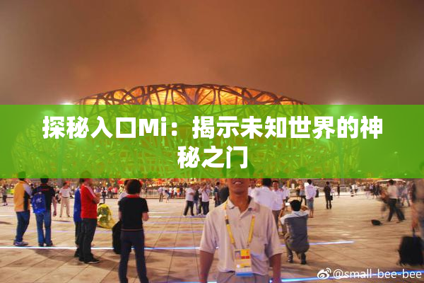 探秘入口Mi：揭示未知世界的神秘之门