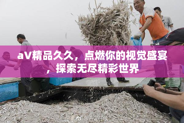aV精品久久，点燃你的视觉盛宴，探索无尽精彩世界