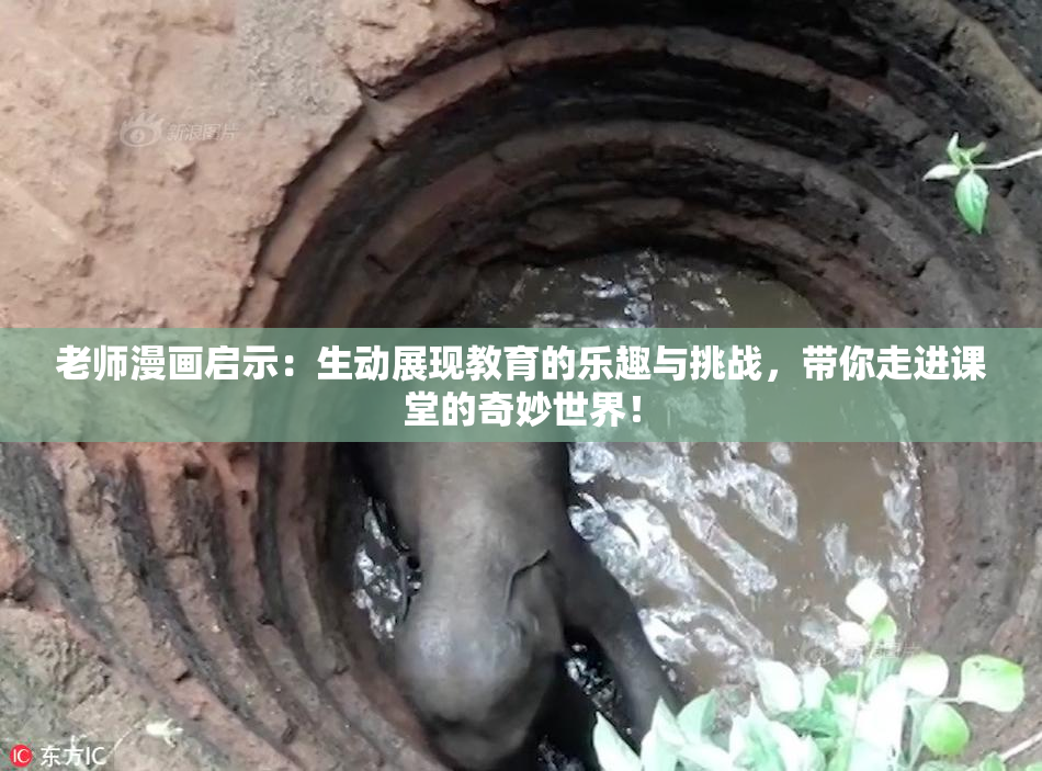 老师漫画启示：生动展现教育的乐趣与挑战，带你走进课堂的奇妙世界！