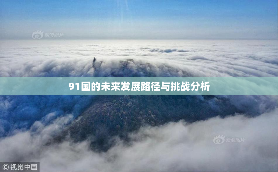 91国的未来发展路径与挑战分析