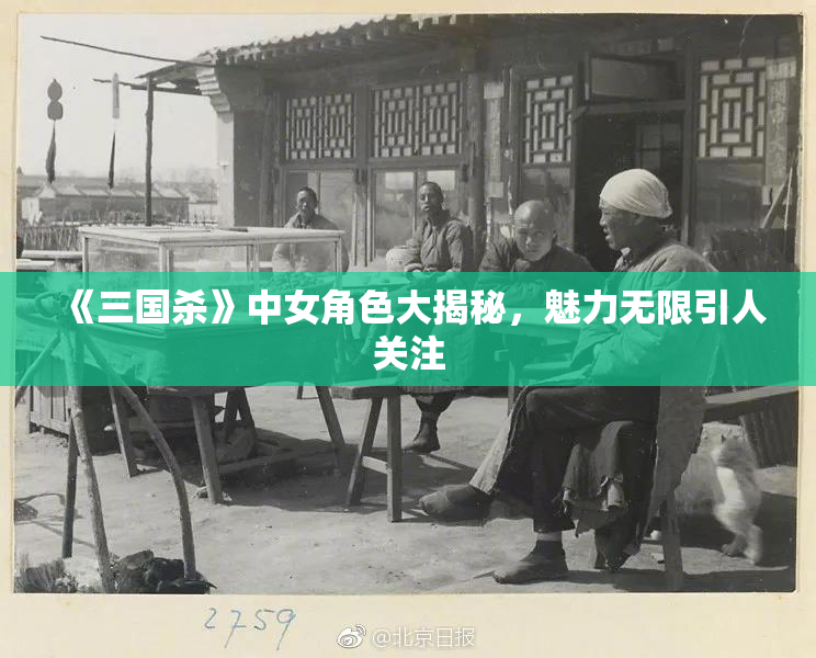 《三国杀》中女角色大揭秘，魅力无限引人关注