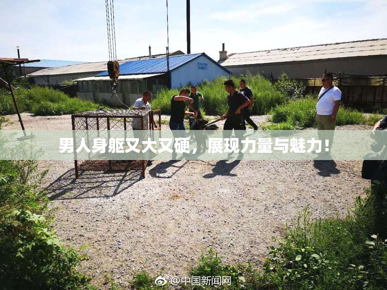 男人身躯又大又硬，展现力量与魅力！