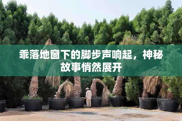 乖落地窗下的脚步声响起，神秘故事悄然展开