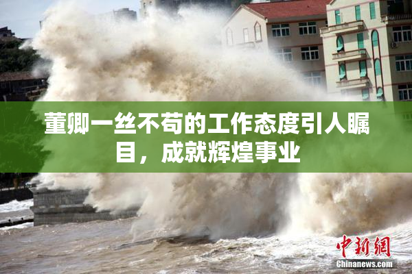 董卿一丝不苟的工作态度引人瞩目，成就辉煌事业