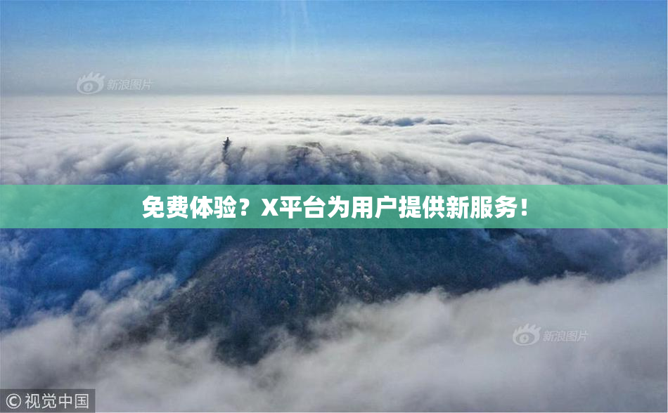 免费体验？X平台为用户提供新服务！