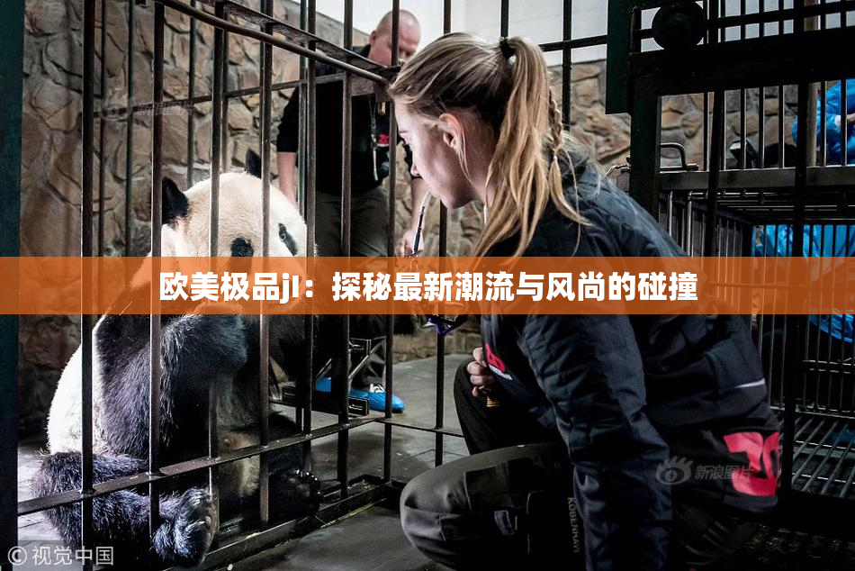 欧美极品jI：探秘最新潮流与风尚的碰撞