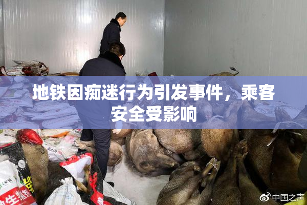 地铁因痴迷行为引发事件，乘客安全受影响