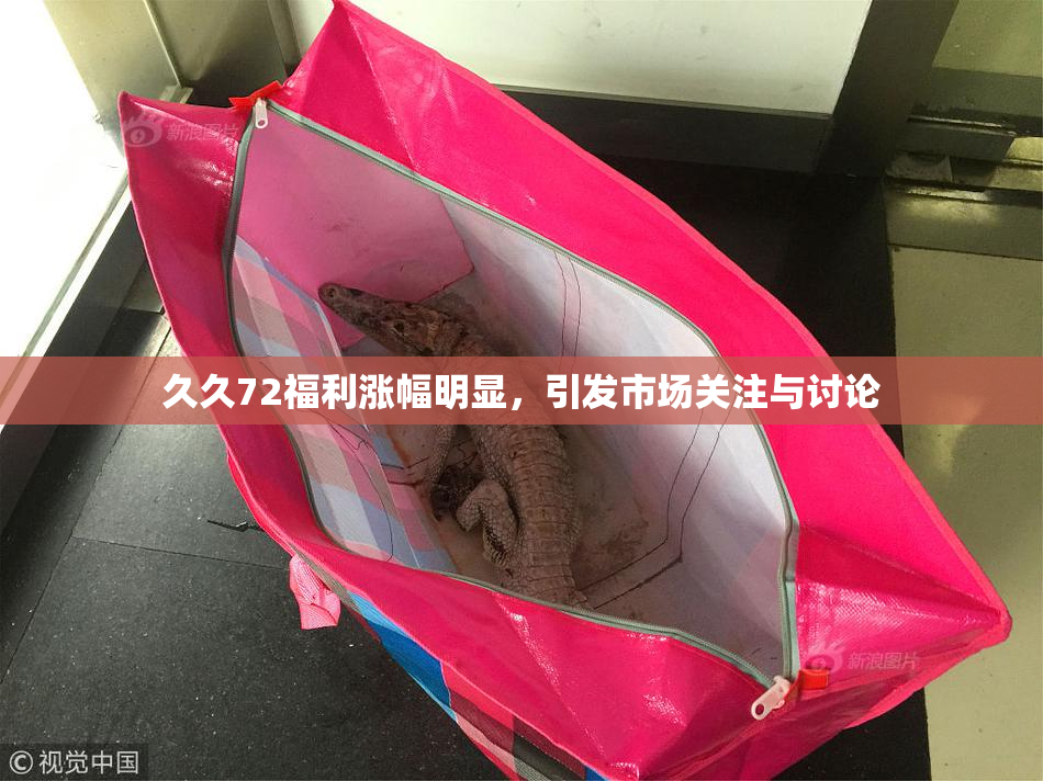 久久72福利涨幅明显，引发市场关注与讨论
