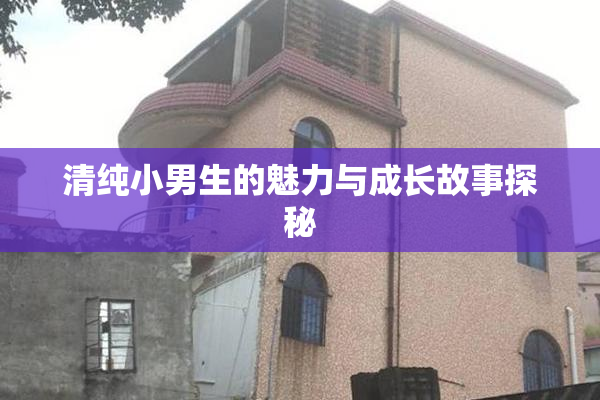 清纯小男生的魅力与成长故事探秘