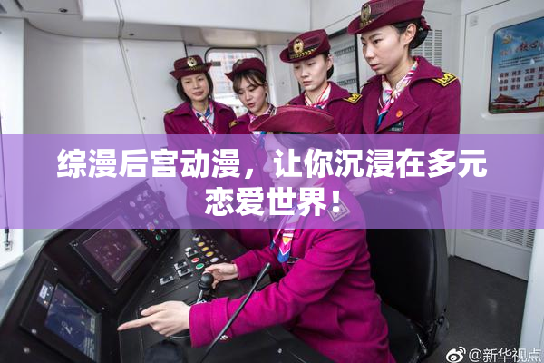 综漫后宫动漫，让你沉浸在多元恋爱世界！