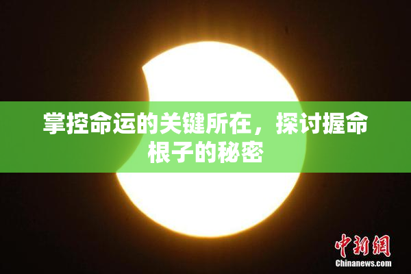 掌控命运的关键所在，探讨握命根子的秘密