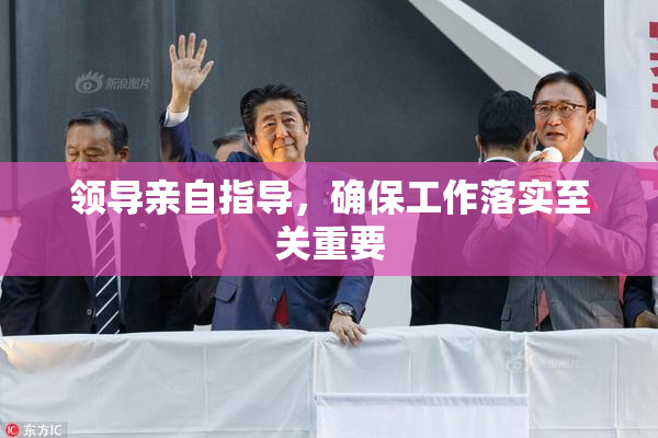 领导亲自指导，确保工作落实至关重要
