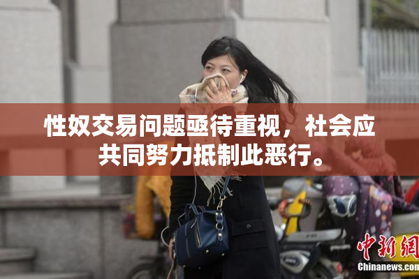 性奴交易问题亟待重视，社会应共同努力抵制此恶行。