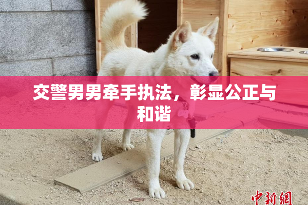 交警男男牵手执法，彰显公正与和谐