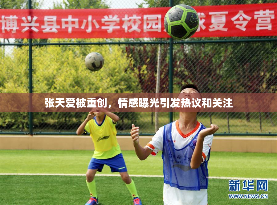 张天爱被重创，情感曝光引发热议和关注